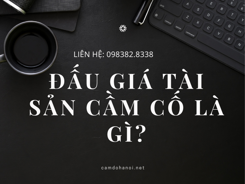 Dau Gia Tai San Cam Co