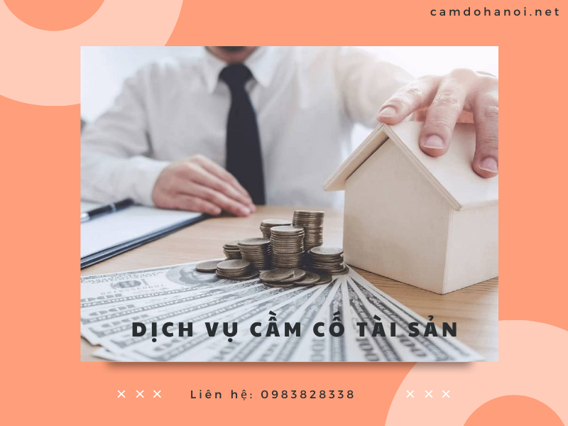 Dich Vu Cam Co Tai San