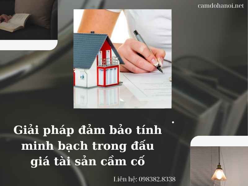 Gia Phap Dau Gia Tai San Cam Co